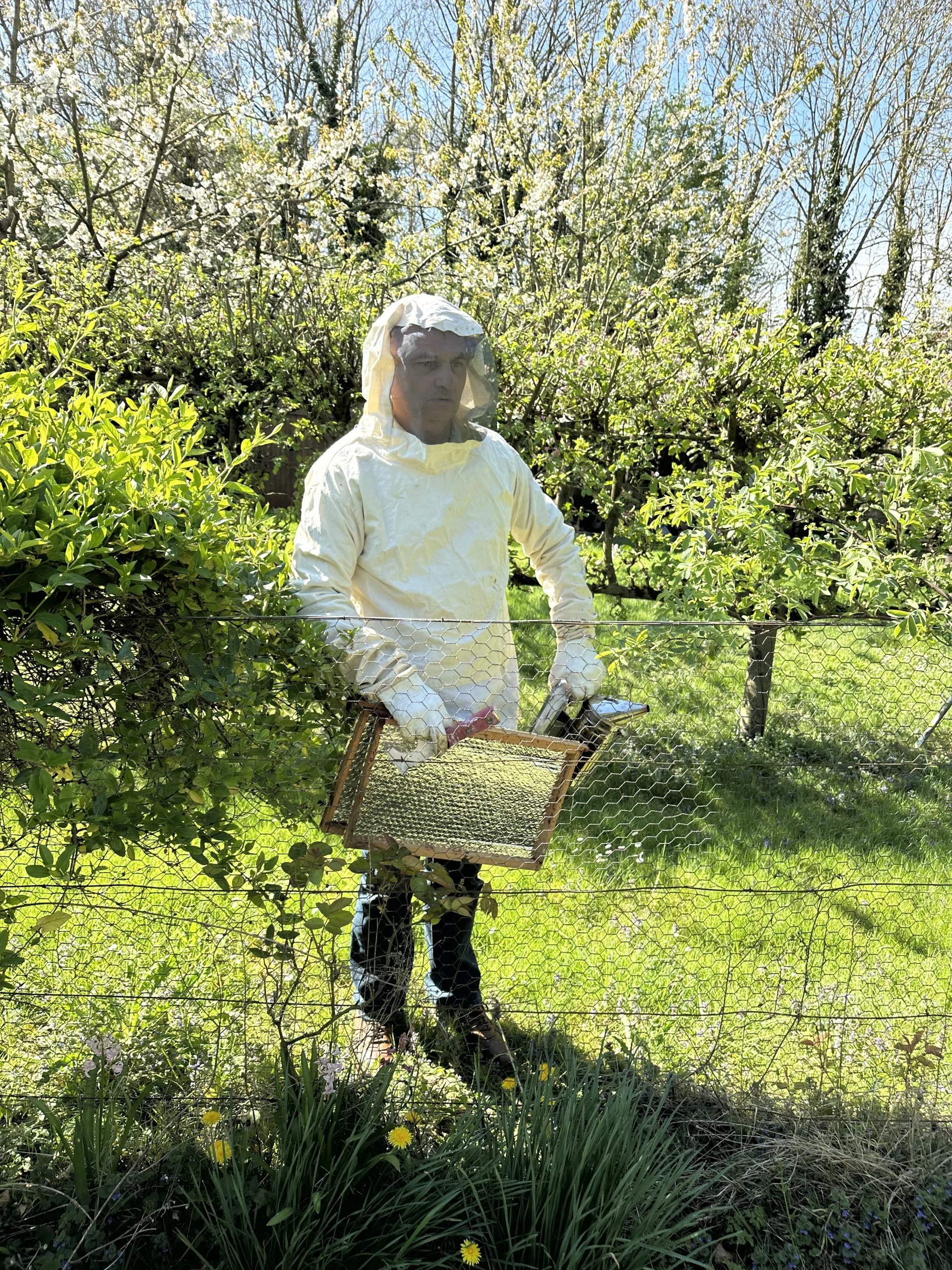 Apiculteur Douceurs de miels
